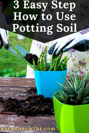 How to Use Old Potting Soil