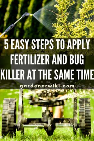 Steps to Apply Fertilizer and Bug Killer at the Same Time