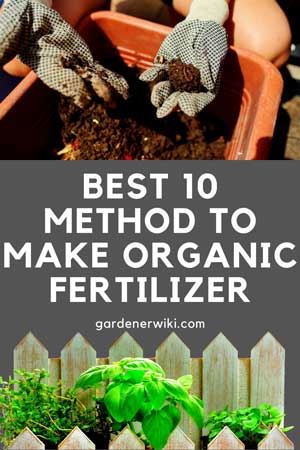 best 10 method to make organic fertilizer