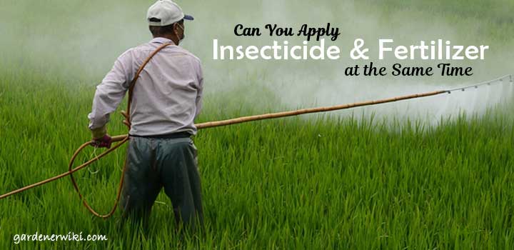 Can You Apply Insecticide and Fertilizer at the Same Time