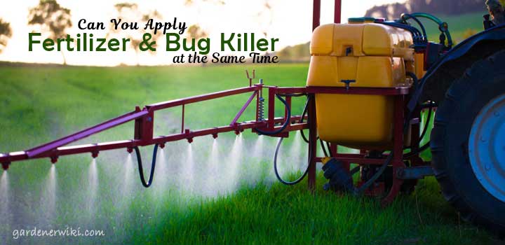Can you Apply Fertilizer And Bug Killer At The Same Time?
