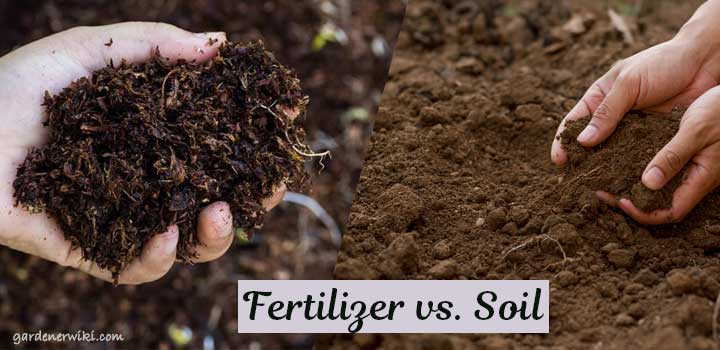 Fertilizer vs Soil 