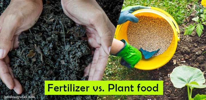Fertilizer vs. Plant food