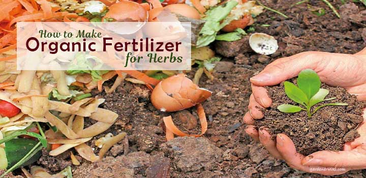 How to Make Organic Fertilizer for Herbs