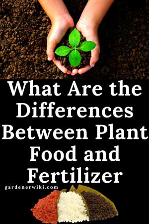 What Are the Differences Between Plant Food and Fertilizer?